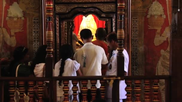 Les gens participent à une cérémonie religieuse au Temple de la Dent (Dalada Maligava) à Kandy, Sri Lanka . — Video