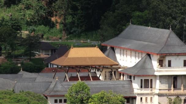 Vista para o telhado dourado do Templo do Dente (Sri Dalada Maligawa) em Kandy, Sri Lanka . — Vídeo de Stock