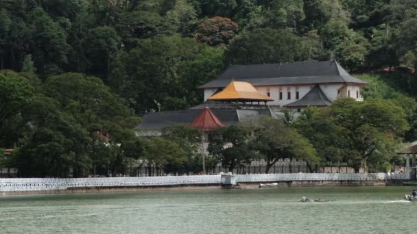 Bekijk de tempel van de tand (Sri Dalada Maligawa) met het gouden dak van in Kandy, Sri Lanka. — Stockvideo