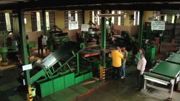 People visit tea factory in Nuwara Eliya, Sri Lanka. — Stock Video