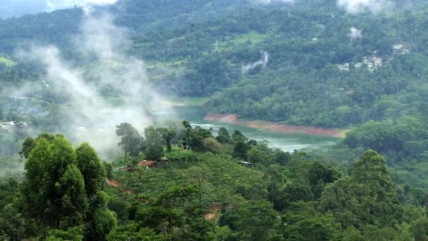 Widok na lasy tropikalne i niebo z mgły i chmur w mieście Nuwara Eliya, Sri Lanka. — Wideo stockowe