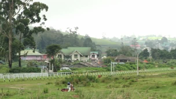 Vista para o hipódromo em Nuwara Eliya, Sri Lanka . — Vídeo de Stock