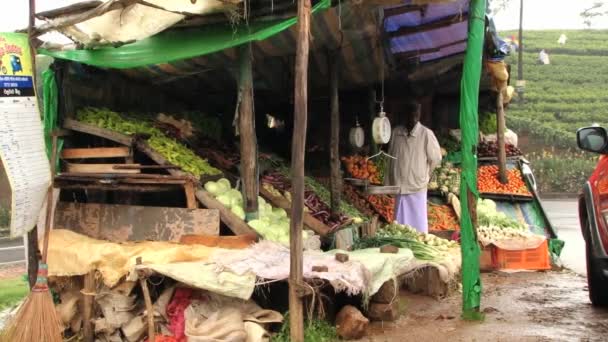 Man sells vegetables at the roadside in Nuwara Eliya, Sri Lanka. — Stock Video