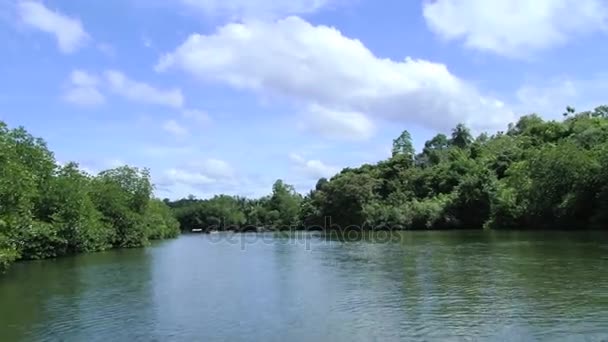 Békési Istvánné folyó magasából a mozgó idegenforgalmi csónakot, Sri Lanka. — Stock videók