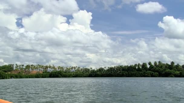 View to the tropical forest at Madu Ganga river bank and blue sky with clouds from the moving tourist boat in Sri Lanka. — Stock Video