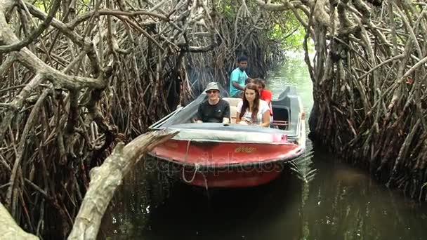 Menschen genießen Bootsfahrt durch den Mangrovenwald am Fluss Madu Ganga in Madu Ganga, Sri Lanka. — Stockvideo