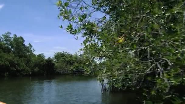 Vue sur la rivière Madu Ganga depuis le bateau touristique en mouvement au Sri Lanka .