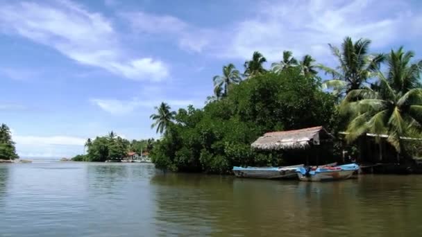 Blick vom fahrenden Touristenboot in sri lanka auf den Fluss Madu Ganga. — Stockvideo