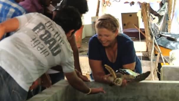 La gente visita la granja de tortugas en Galle, Sri Lanka . — Vídeos de Stock