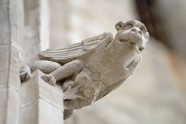 Gárgola en la muralla de la Basílica de Saint-Nazaire-et-Saint-Celse en Carcasona, Francia . —  Fotos de Stock