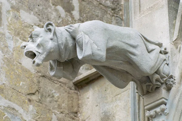 Gárgola en la muralla de la Basílica de Saint-Nazaire-et-Saint-Celse en Carcasona, Francia . —  Fotos de Stock