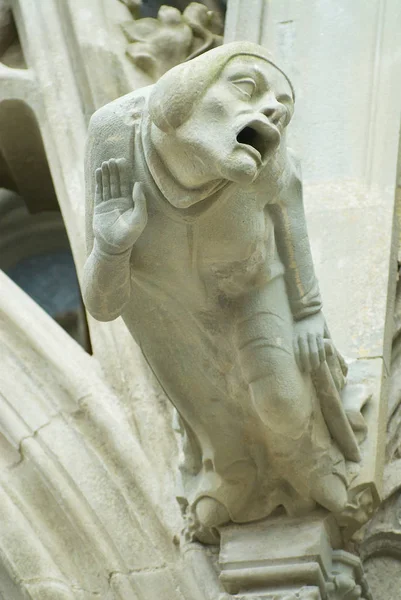 Gárgola en la muralla de la Basílica de Saint-Nazaire-et-Saint-Celse en Carcasona, Francia . —  Fotos de Stock