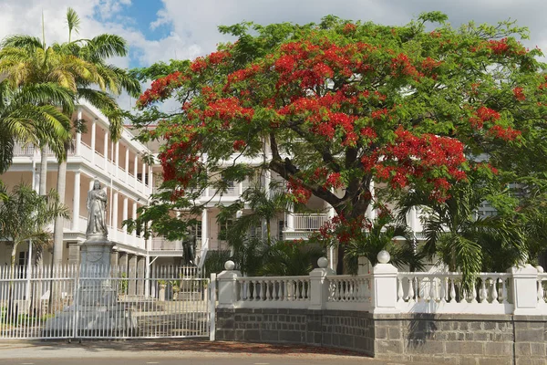 Met het oog op de oude koloniale gebouw in Port Louis, Mauritius. — Stockfoto