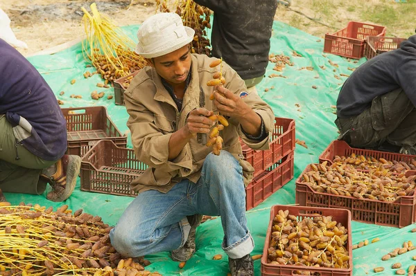 Man sort dades in El Goula, Túnez . — Foto de Stock