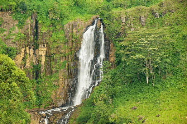 Cachoeira em uma floresta tropical perto de Nuwara Eliya, Sri Lanka . — Fotografia de Stock