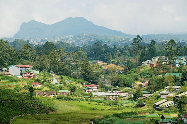 Vista para os edifícios do campo com bela paisagem em Nuwara Eliya, Sri Lanka . — Fotografia de Stock