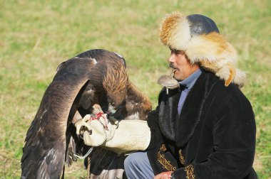 Kazak avcı beslemeleri altın kartal (Aquila chrysaetos), Almatı, Kazakistan. 