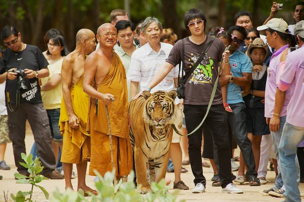 Turister vandrar med tiger hanteras av Abbot Phra Acharn Phoosit Khantidharo i Tiger templet Kanchanaburi, Thailand. — Stockfoto