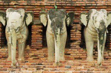 Sukhothai, Thailand Wat Traphang tanga Budist tapınağı nın tuğla duvar, üç fil figürleri.