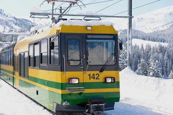 Wengernalpbahn trem chega à estação em Grindelwald, Suíça . — Fotografia de Stock