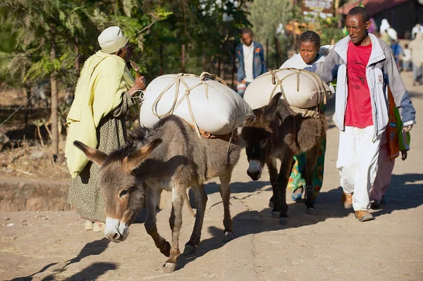 Lalibela Ethiopië Januari 2010 Niet Geïdentificeerde Mensen Vervoeren Goederen Zakken — Stockfoto