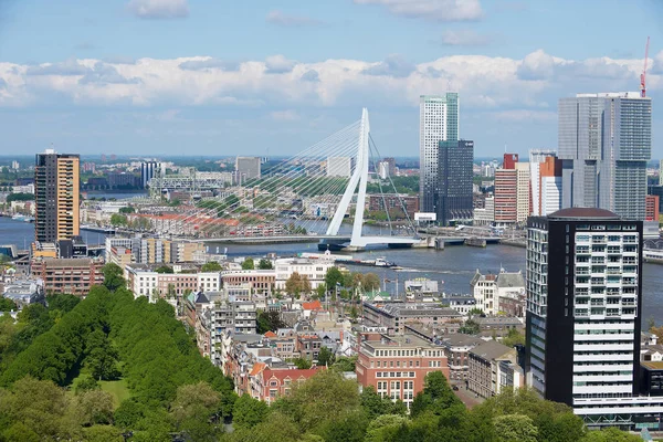 Rotterdam Países Bajos Junio 2013 Vista Aérea Puente Erasmus Edificios — Foto de Stock