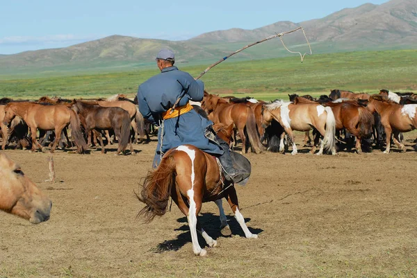 Kharkhorin 2006年8月19日 Kharkhorin 的一个草原上身穿传统服装骑马回来的不知名的蒙古人 — 图库照片