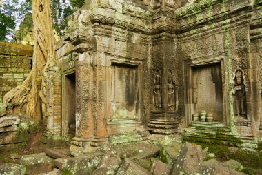 Siem Reap, Kamboçya Ta Prohm Tapınağı kalıntıları için görüntüleyin.