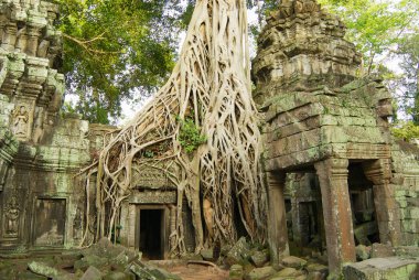 Siem Reap, Kamboçya Ta Prohm Tapınağı kalıntıları için görüntüleyin.