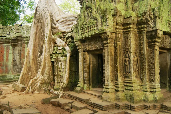 Met het oog op de ruïnes van de tempel Ta Prohm in Siem Reap, Cambodja. — Stockfoto