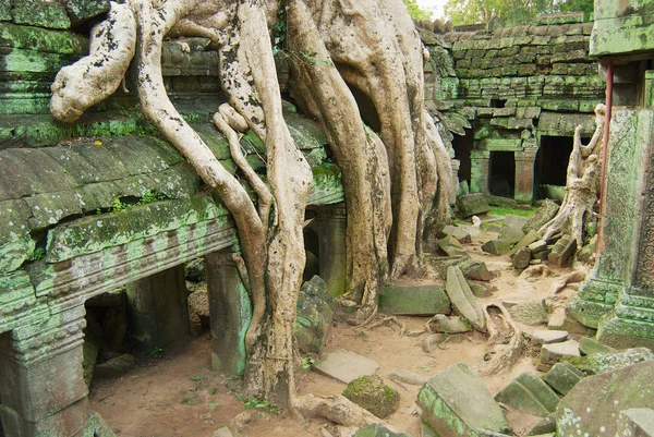 Vista a las ruinas del Templo Ta Prohm en Siem Reap, Camboya . —  Fotos de Stock