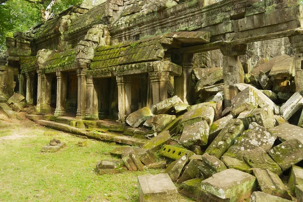 Ta prohm tempel. — Stockfoto