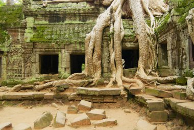 Siem Reap, Kamboçya Ta Prohm Tapınağı kalıntıları için görüntüleyin.