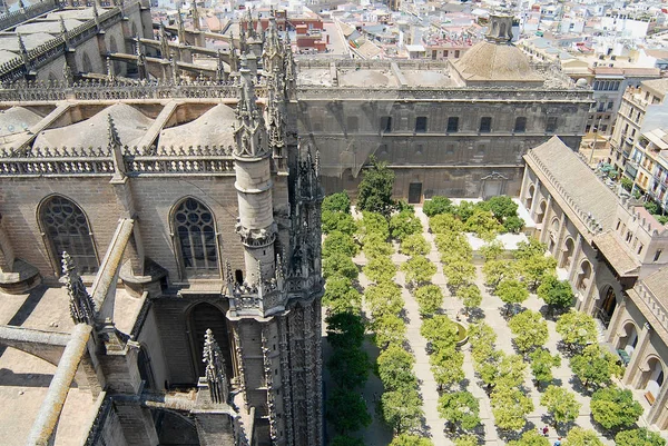 Sevilla Spanien Juni 2006 Utsikt Mot Katedralens Tak Sevilla Spanien — Stockfoto