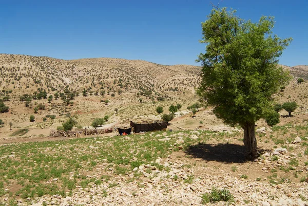 Yasuj Iran Juin 2007 Camp Nomade Bakhtiari Dans Les Montagnes — Photo