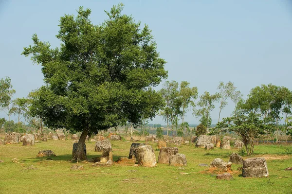 Antiguos Tarros Piedra Una Llanura Tarros Sitio Cerca Phonsavan Provincia — Foto de Stock