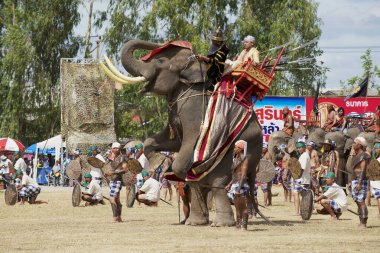 Surin, Tayland - 16 Kasım 2013: Mahoutlar ve aktörler Tayland 'ın Surin kentindeki açık hava fil gösterisi sırasında geçit törenine katıldılar.