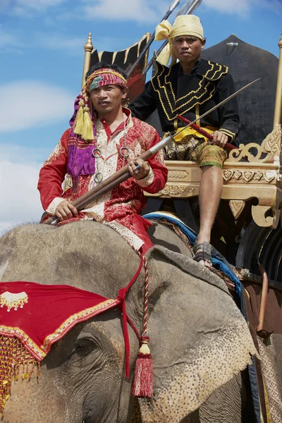 Surin Thailand November 2013 Mahouts Nehmen Der Elefantenshow Während Des — Stockfoto