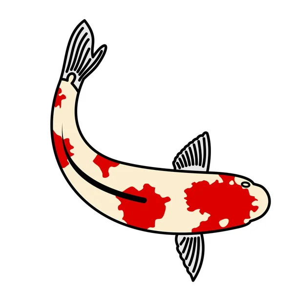 Vektor gambar ikan mas Jepang - Stok Vektor