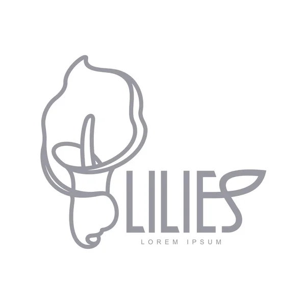 Elegante lelies logo sjabloon — Stockvector