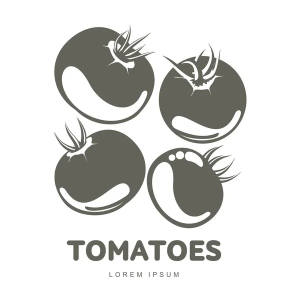 Tomater logotyp mallar illustration — Stock vektor