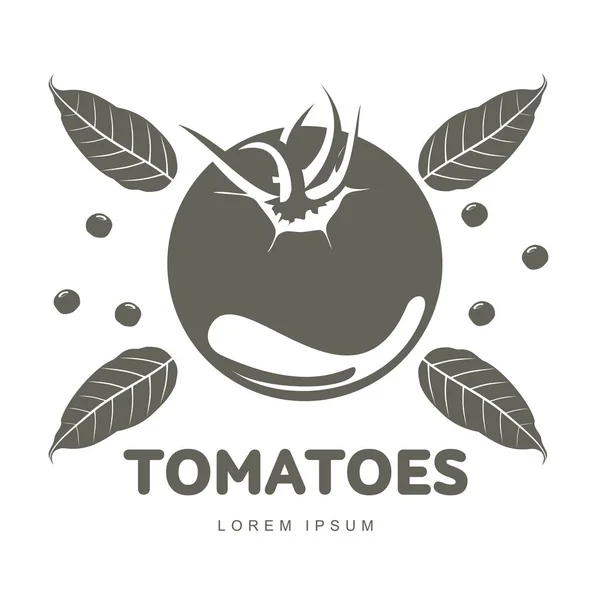 Ντομάτες λογότυπο πρότυπα εικονογράφηση — Διανυσματικό Αρχείο