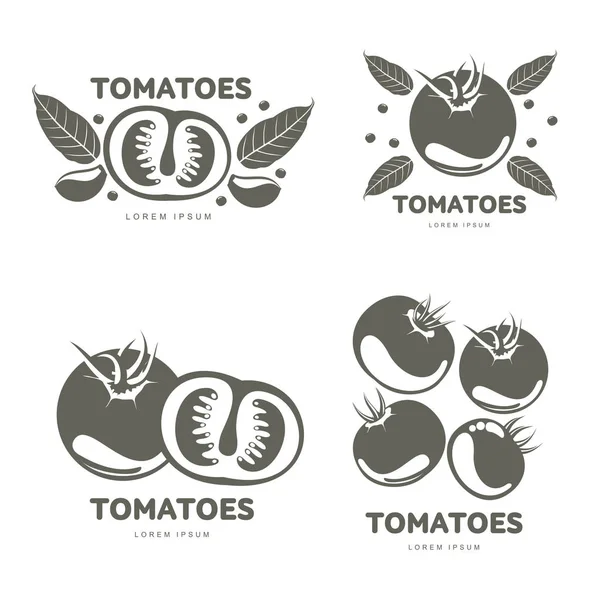 トマトのロゴのテンプレート図 — ストックベクタ