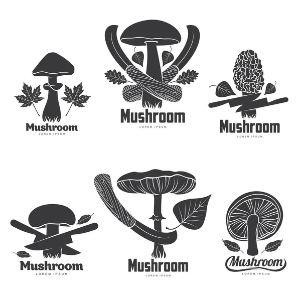 Mantar logo Şablonlar