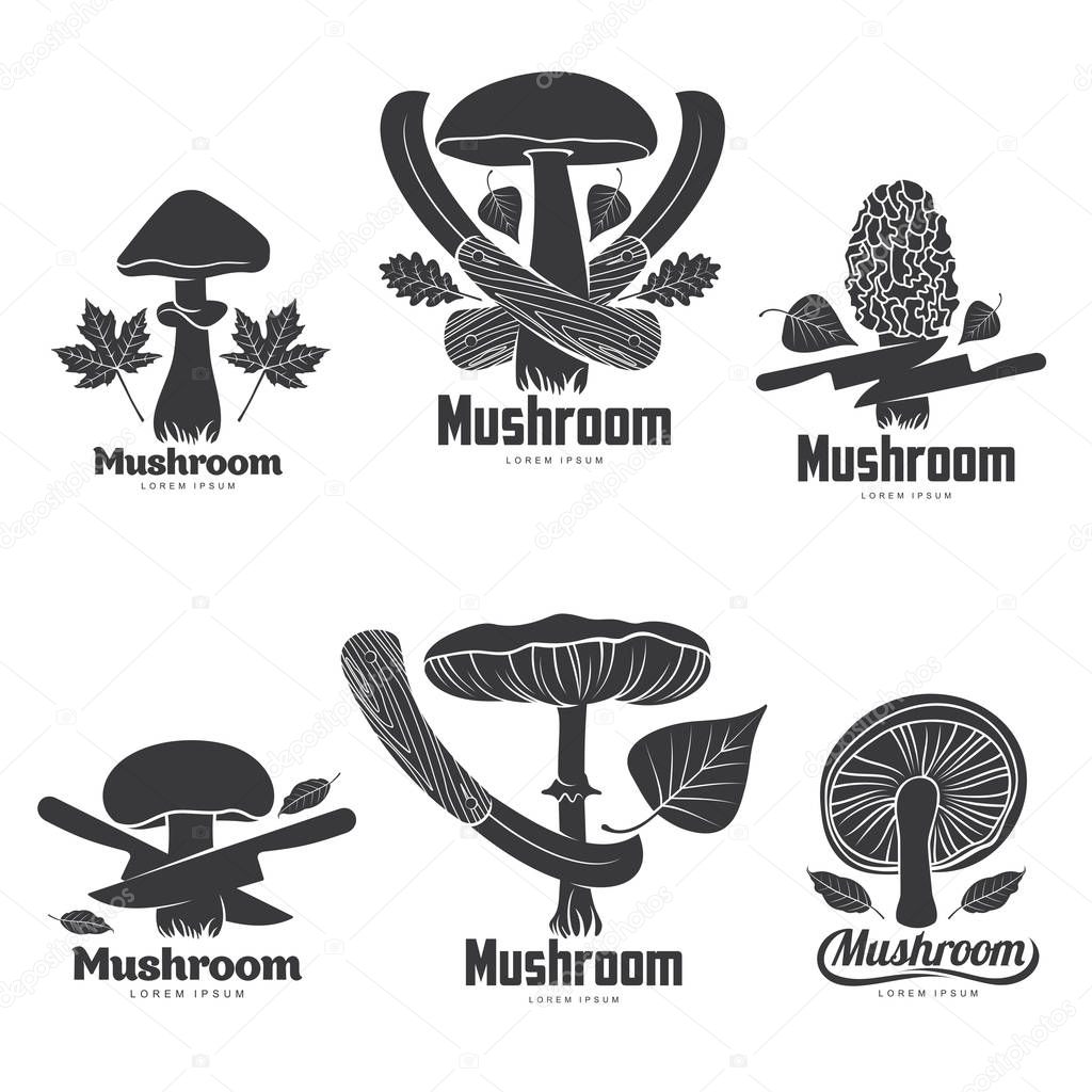 Mushroom logo templates for your design. Autumn, fallen leaves of trees, dry grass. Mushroom badges, labels, brochures, business templates. Vector illustration isolated on white background