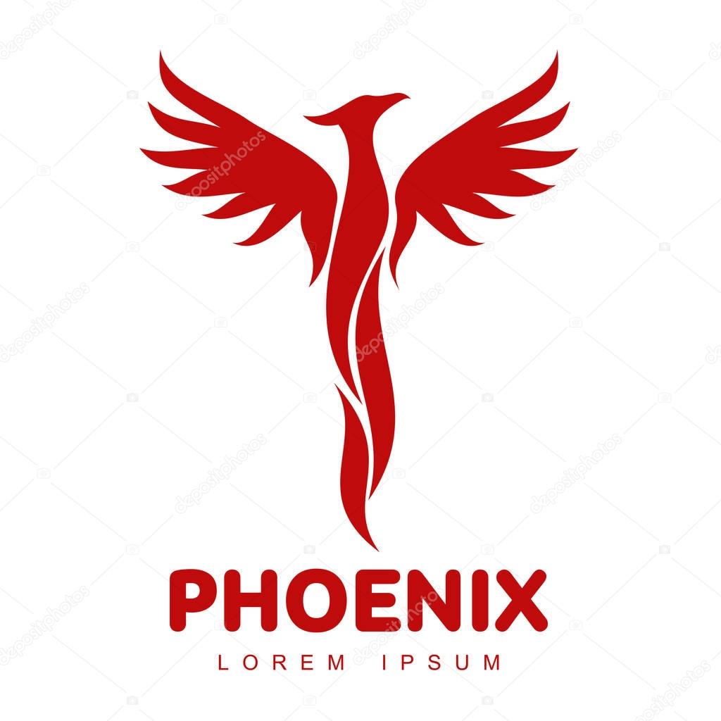 Stylized graphic phoenix bird logo templates. Collection of creative phoenix bird logotype templates, growth, development, power concept. Vector illustration isolated on white background.