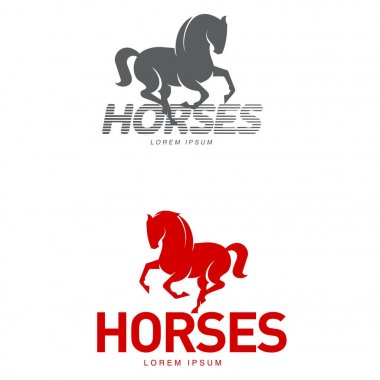 At profil grafik logo şablonu, vektör çizim beyaz arka plan üzerinde. Şık at baş ve vücut anahat istikrarlı, çiftlik, yarış logo tasarımı için