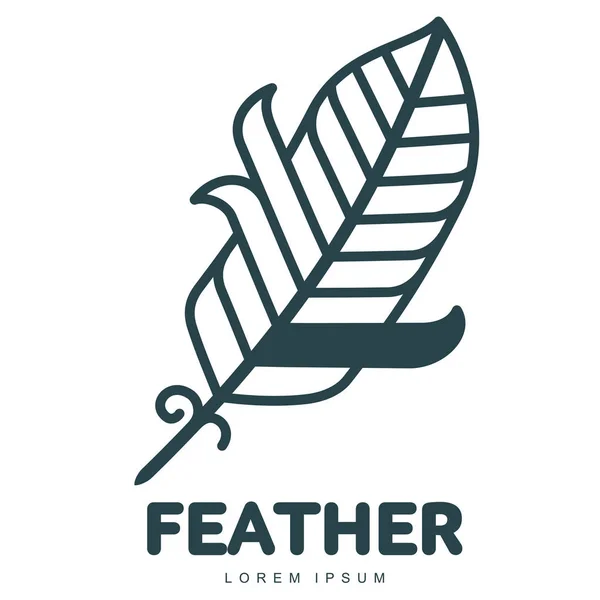 Feather logo template — Stock Vector