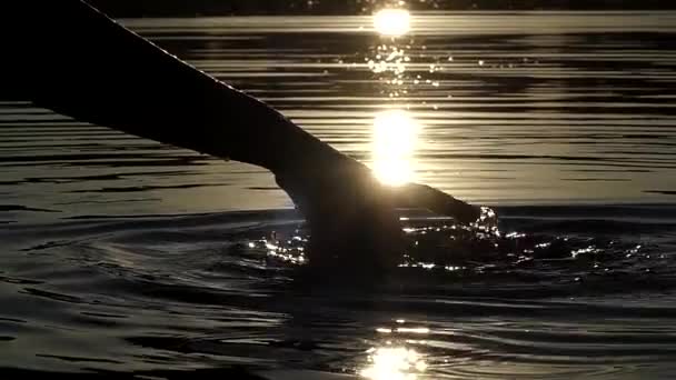 Δάχτυλα παίζουν με το νερό σε αργή κίνηση στο ηλιοβασίλεμα. — Αρχείο Βίντεο