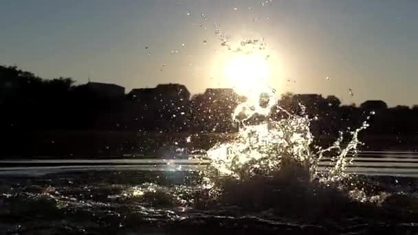 Fötter av kvinna gör stänk i vattnet vid solnedgången. Slow Motion. — Stockvideo